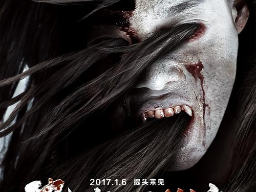 假公证书如何通过房管局审核